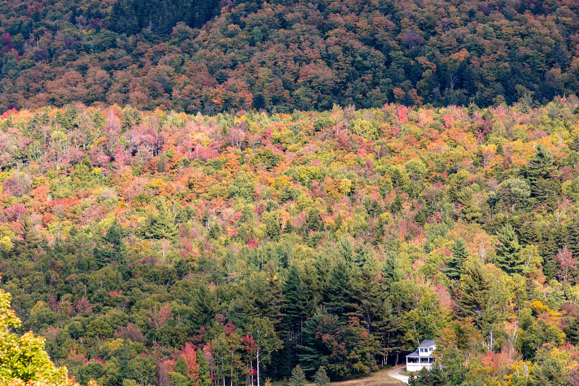 A solitary house among the fall colors