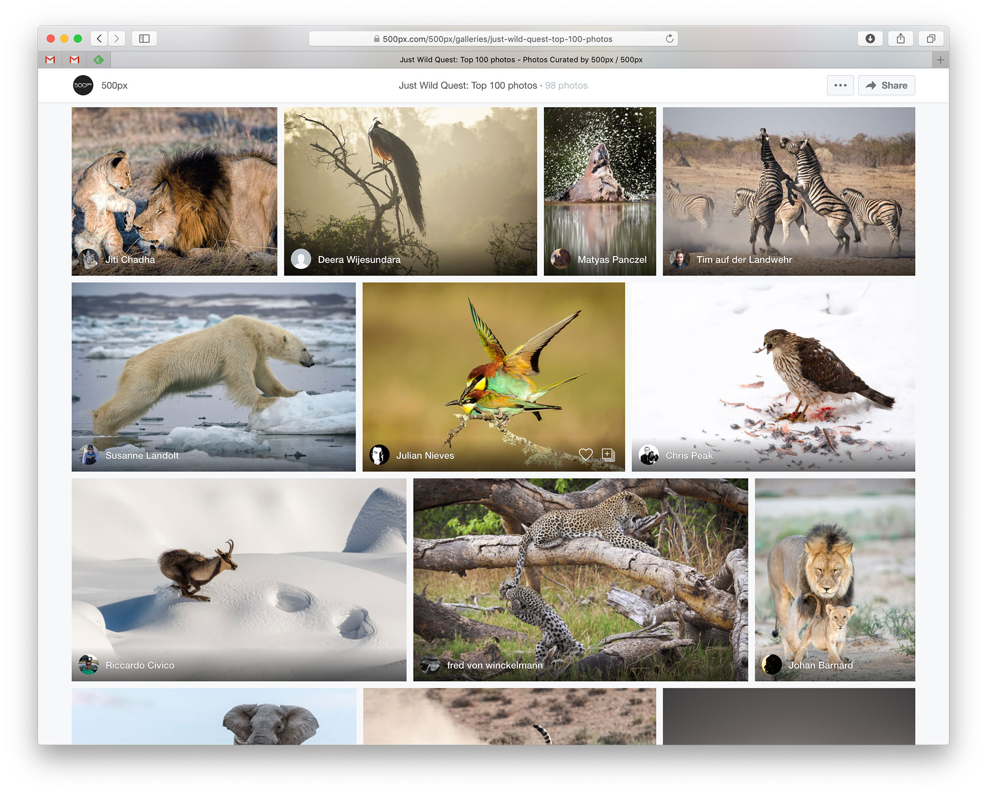 An image gallery of the finalists for the 500px.com Just Wild photo quest